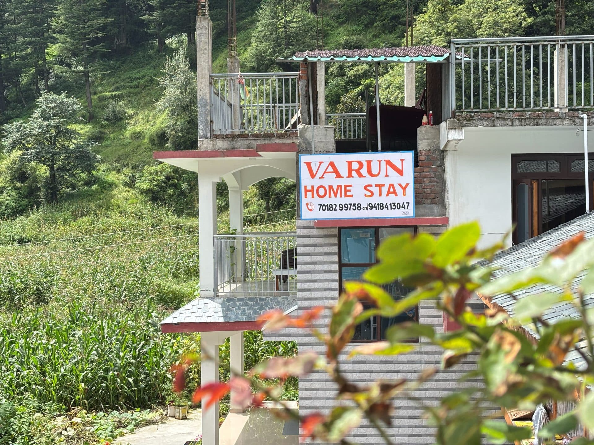 Around the Property